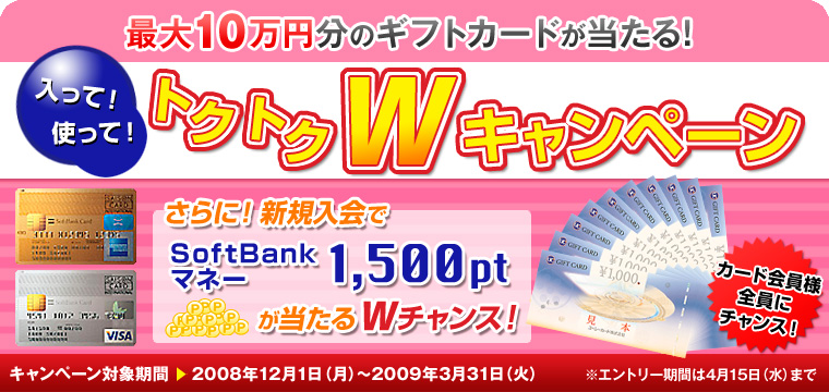 āIgāIgNgNWLy[@Gg[ 2008N121ij`331i΁j