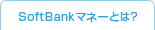 SoftBank}l[Ƃ́H