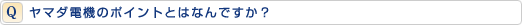 ヤマダ電機のポイントとはなんですか?